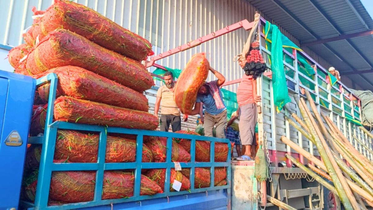 হিলি স্থলবন্দরে কাঁচা মরিচের আমদানি বেড়েছে, দাম কমেছে