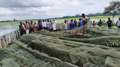 ঠাকুরগাঁওয়ে অবৈধ জাল ধ্বংস করল প্রশাসন