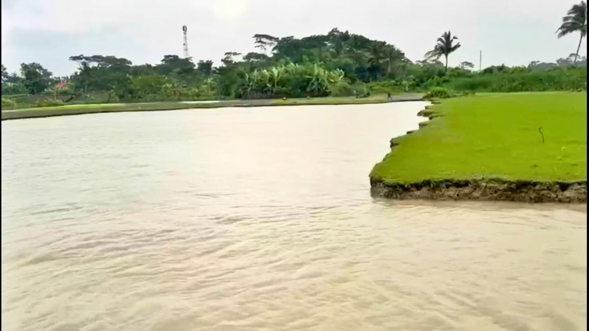 পটুয়াখালীতে রাতের আঁধারে নদীর পাড় কেটে বিক্রি করছেন বিএনপি নেতা