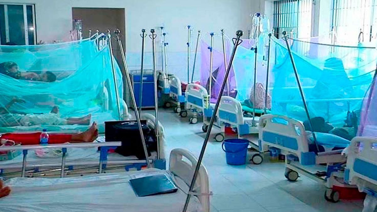 দেশে ডেঙ্গুর প্রকোপ বাড়ছে, এক সপ্তাহে মৃত্যু ৮