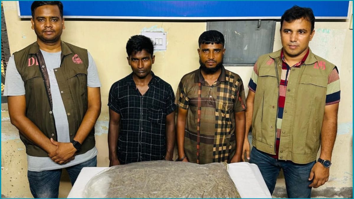 বগুড়ায় ১০ কেজি গাঁজাসহ দুই মাদক কারবারি আটক
