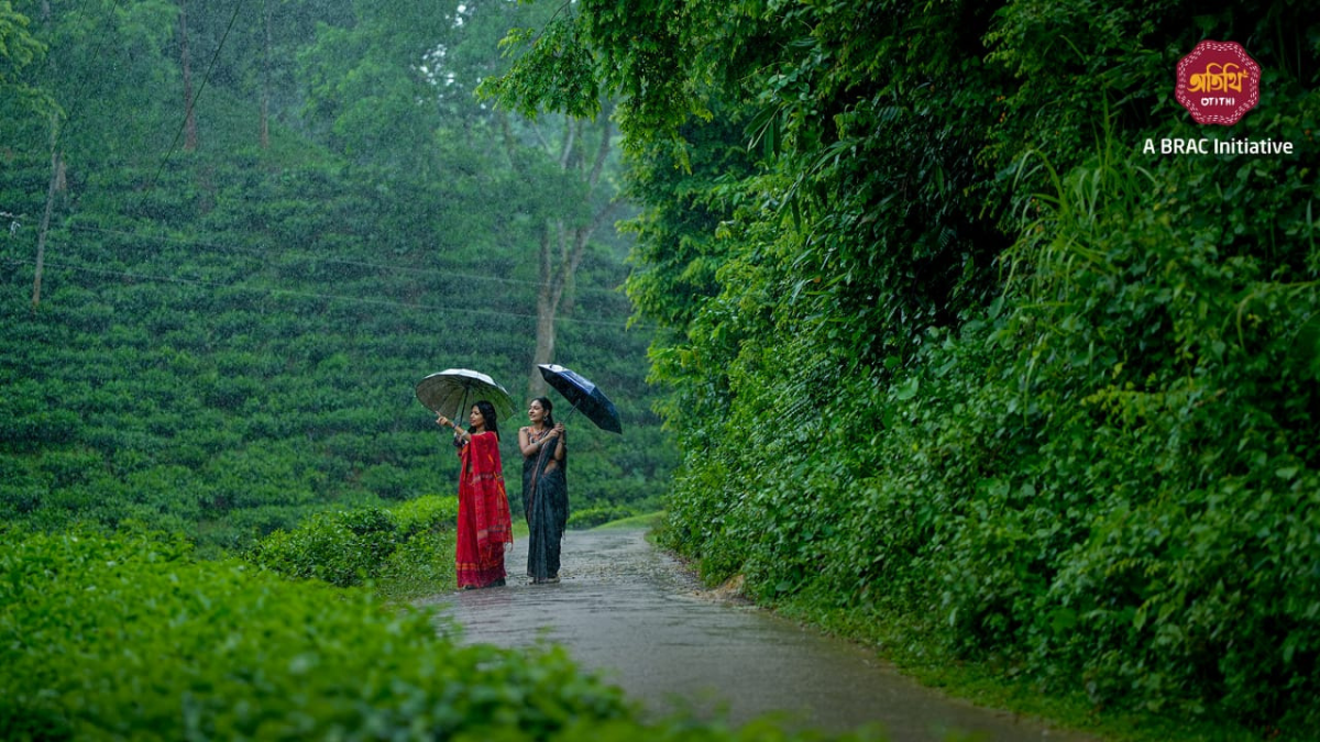 ‘অতিথি’র অতিথি হয়ে চলুন চায়ের দেশ শ্রীমঙ্গলে