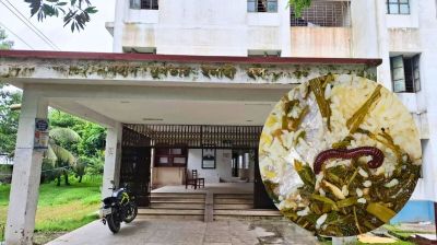 বেরোবিতে প্রভোস্ট ছাড়া হল, এবার খাবারে মিলল বড় আকৃতির পোকা