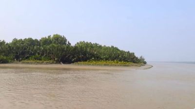 তিন মাসের অপেক্ষা শেষে খুলছে সুন্দরবনের দুয়ার