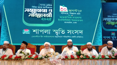 শাপলার চেতনা আগামীর বাংলাদেশের মাইলফলক : মামুনুল হক