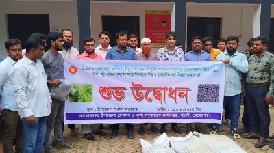 গাংনীতে কৃষকদের মাঝে বিনামূল্যে মাসকলাই বীজ বিতরণ