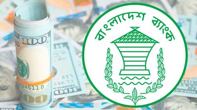 দেশের বৈদেশিক মুদ্রার রিজার্ভ ৩১ দশমিক ৪৩ বিলিয়ন ডলার