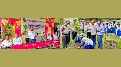 শাহ্জালাল ইসলামী ব্যাংকের উদ্যোগে যশোরে বৃক্ষরোপণ কর্মসূচি