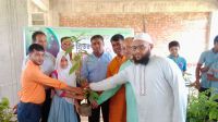 লোহাগাড়া প্রেসক্লাবের উদ্যোগে গাছের চারা রোপণ