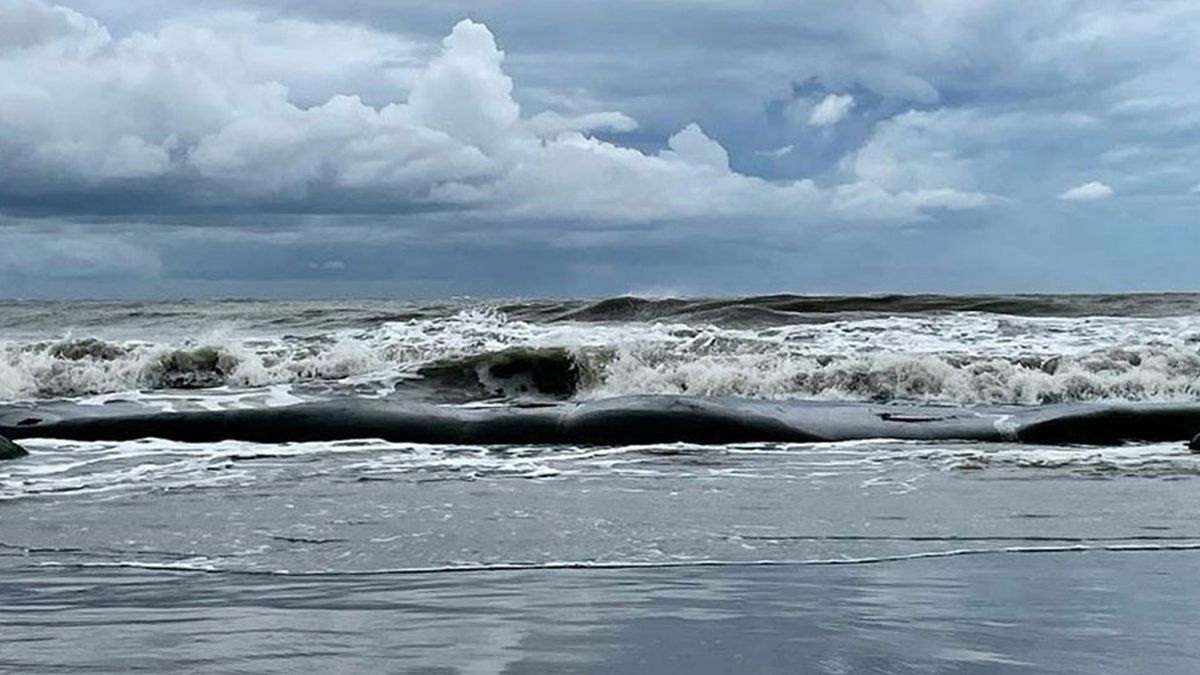 সাগরে ফের লঘুচাপের শঙ্কা, বাড়বে বৃষ্টি