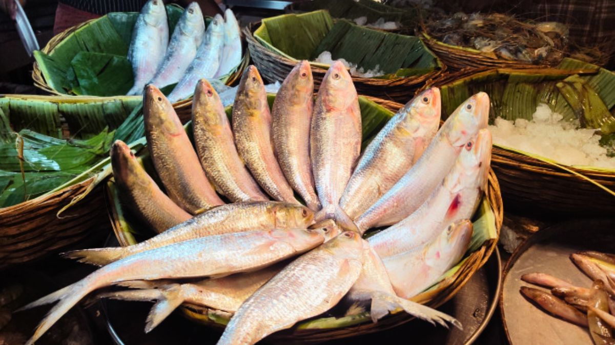 দুর্গাপূজায় ভারতে ১২শ’ মেট্রিকটন ইলিশ পাঠাবে বাংলাদেশ