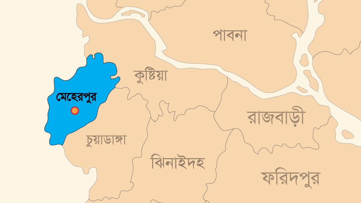 মেহেরপুরের সীমান্ত দিয়ে ১৮ বাংলাদেশিকে ফেরত দিল বিএসএফ