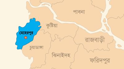 মেহেরপুরের সীমান্ত দিয়ে ১৮ বাংলাদেশিকে ফেরত দিল বিএসএফ