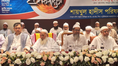 হেফাজতের রক্তস্নাত পথ ধরেই জুলাইয়ের আন্দোলন সফল হয়েছে : সালাহউদ্দিন আহমেদ