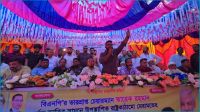 সোনারগাঁয়ে বিএনপির আলোচনা সভা ও লিফলেট বিতরণ