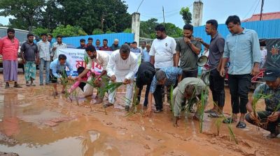 খাগড়াছড়িতে সড়কে ধানের চারা রোপণ করে প্রতিবাদ
