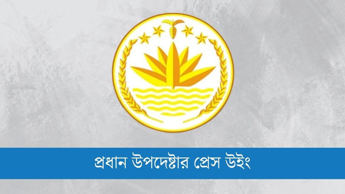 নিউইয়র্কে বিএনপি-এনসিপি নেতাদের ওপর হামলার ঘটনায় সরকারের বিবৃতি