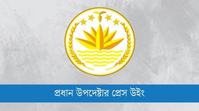 নিউইয়র্কে বিএনপি-এনসিপি নেতাদের ওপর হামলার ঘটনায় সরকারের বিবৃতি