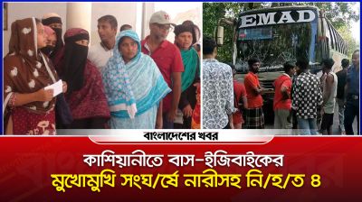 কাশিয়ানীতে বাস-ইজিবাইকের মুখোমুখি সংঘর্ষে নারীসহ নিহত ৪