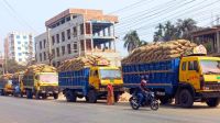 চাহিদার তুলনায় অতিরিক্ত আলু উৎপাদন, পুঁজি হারানোর শঙ্কায় চাষিরা