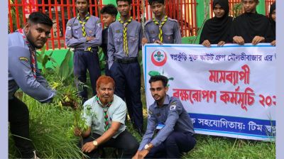 মৌলভীবাজারে স্কাউট গ্রুপের মাসব্যাপী বৃক্ষরোপণ কর্মসূচি শুরু