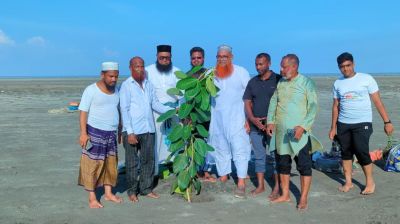 বঙ্গোপসাগরে জেগে ওঠা চর বিজয়ে জামায়াতের বৃক্ষরোপণ কর্মসূচি