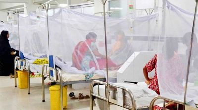 ডেঙ্গুতে আরও ৩ জনের মৃত্যু, আক্রান্ত ৫৫৬