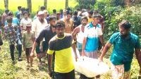 শেরপুরে নিখোঁজ অটোচালকের মরদেহ উদ্ধার