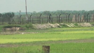 চুয়াডাঙ্গা সীমান্তে এক বাংলাদেশিকে ধরে নিয়ে গেল বিএসএফ