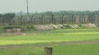 চুয়াডাঙ্গা সীমান্তে এক বাংলাদেশিকে ধরে নিয়ে গেল বিএসএফ