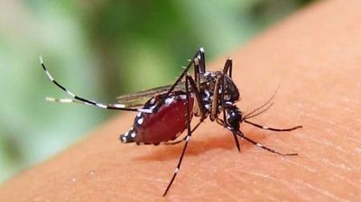 নেই প্লাটিলেট মেশিন, নারায়ণগঞ্জে ডেঙ্গুর ভয়াবহ রূপ