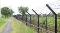 সাতক্ষীরার তলুইগাছা সীমান্ত দিয়ে ১৫ বাংলাদেশিকে হস্তান্তর করেছে বিএসএফ