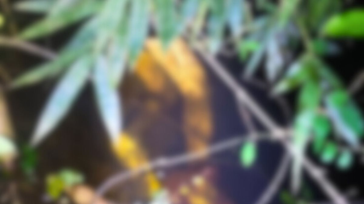 লক্ষ্মীপুরে খাল থেকে রাজমিস্ত্রির হাত-পা বাঁধা মরদেহ উদ্ধার