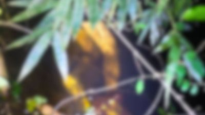 লক্ষ্মীপুরে খাল থেকে রাজমিস্ত্রির হাত-পা বাঁধা মরদেহ উদ্ধার