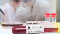 অ্যানথ্রাক্স প্রতিরোধে সরকারের জরুরি কার্যক্রম শুরু