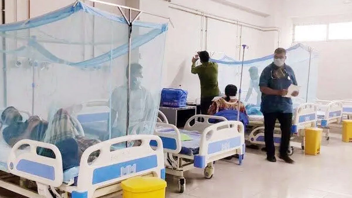 ২৪ ঘণ্টায় ডেঙ্গুতে মৃত্যু ৩, আক্রান্ত ৭৮২
