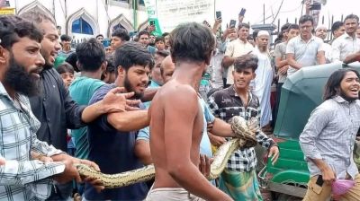 চট্টগ্রামে সাড়ে ৯ ফুট অজগর উদ্ধার