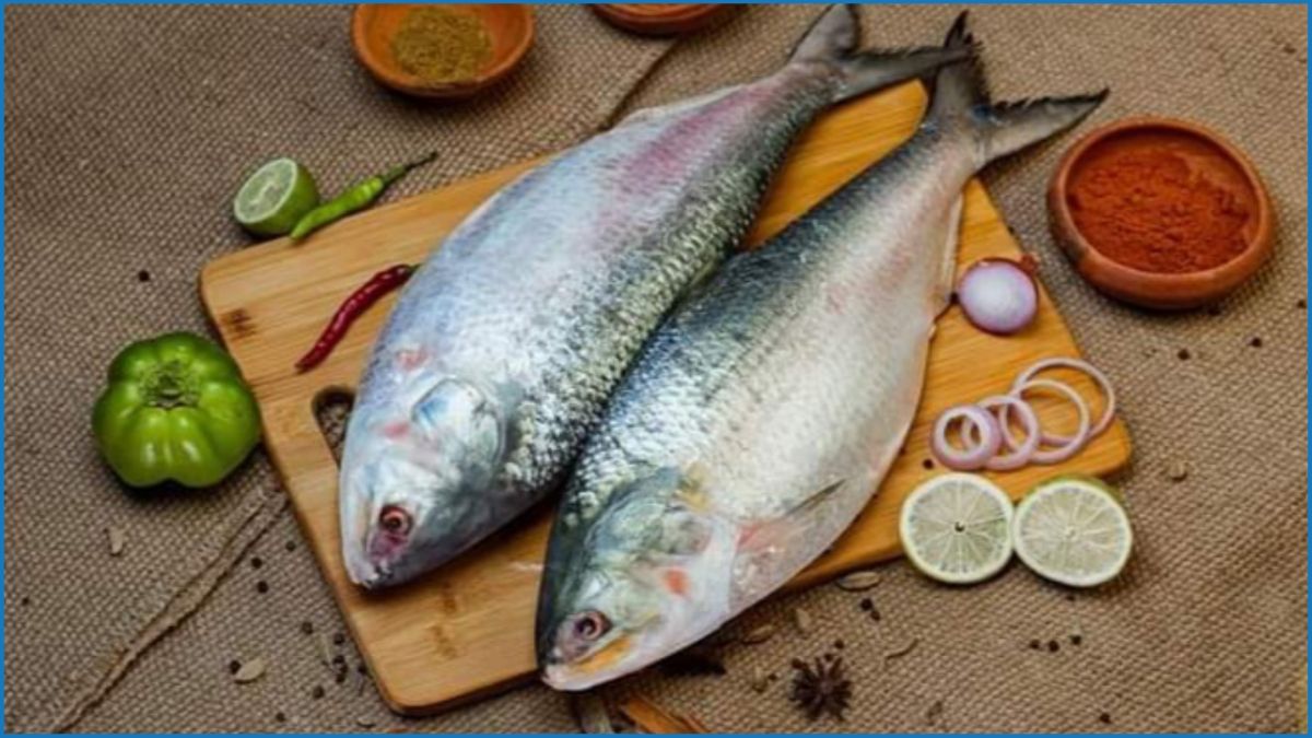 অনলাইনে ইলিশ বিক্রির নিবন্ধন পেয়েছেন চাঁদপুরের  ৭ ব্যবসায়ী