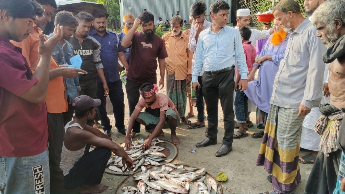 ‎মানিকগঞ্জে নিষেধাজ্ঞা অমান্য করে ইলিশ শিকার, আটক ৩