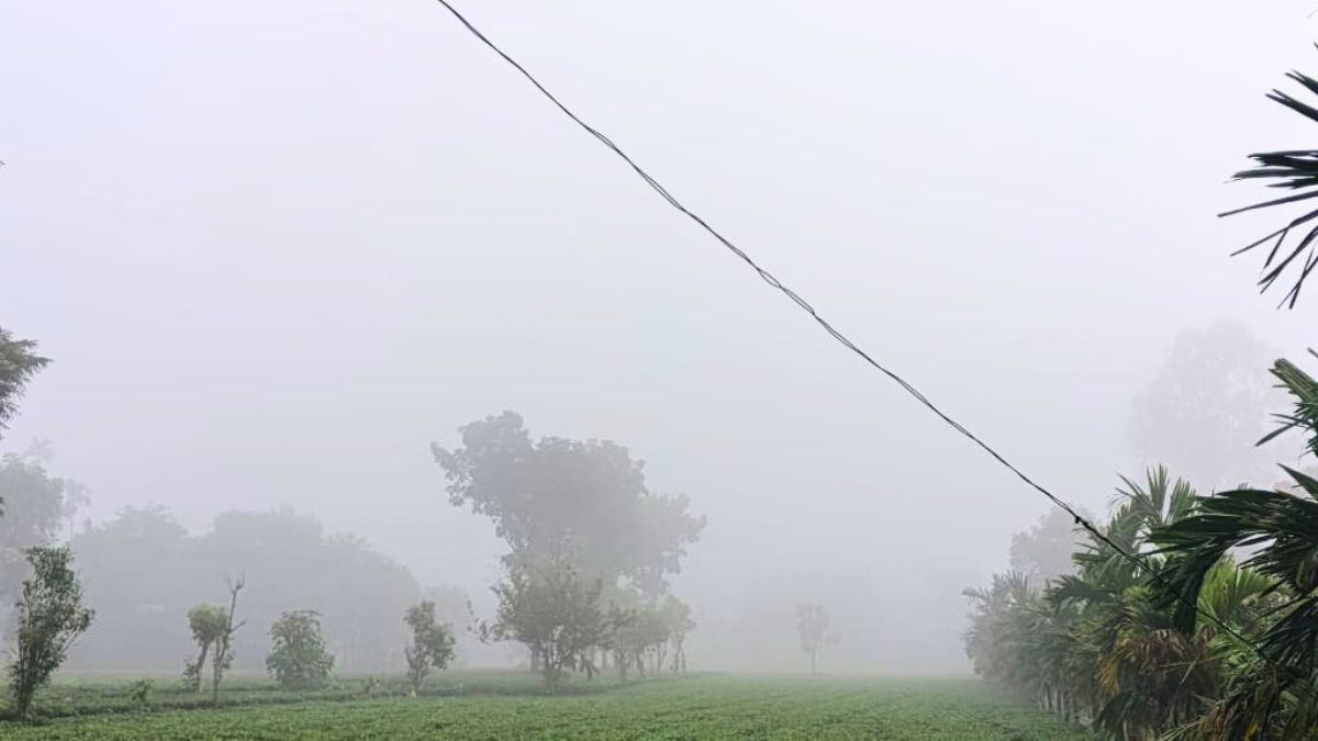পঞ্চগড়ে শীতের আগমন, ভোরে কুয়াশায় ঢাকল প্রকৃতি