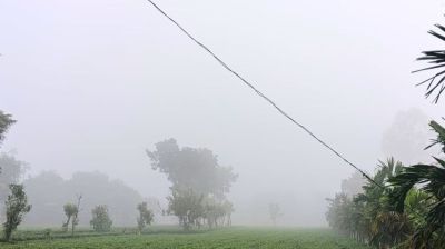 পঞ্চগড়ে শীতের আগমন, ভোরে কুয়াশায় ঢাকল প্রকৃতি