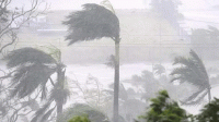 রাতে ঢাকাসহ যে ৯ জেলায় ৬০ কিমি বেগে ঝড় ও ভারি বর্ষণের শঙ্কা