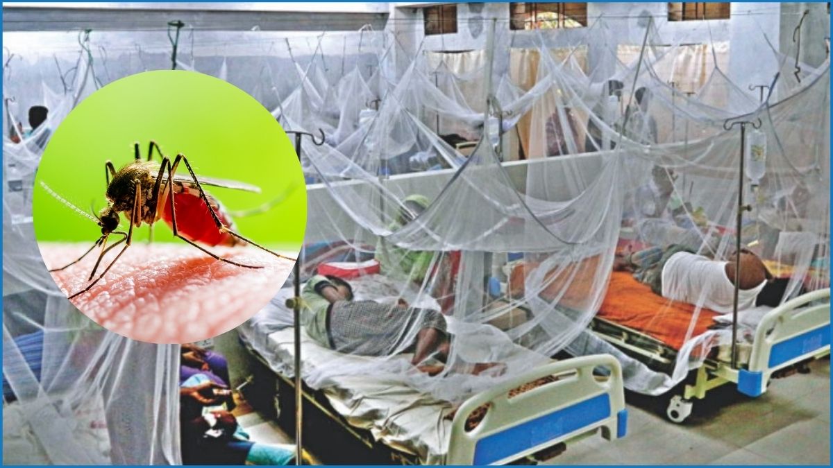ডেঙ্গুতে আরও ৬ জনের মৃত্যু, নতুন ভর্তি ৯৫৩ জন