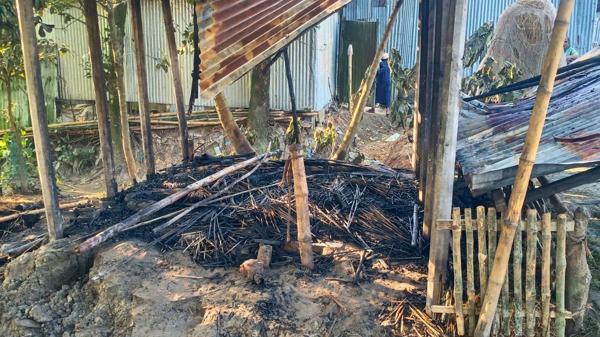 ধুনটে গোয়ালঘরে অগ্নিকাণ্ড, দুই গাভীসহ ৩ গরু পুড়ে ছাই
