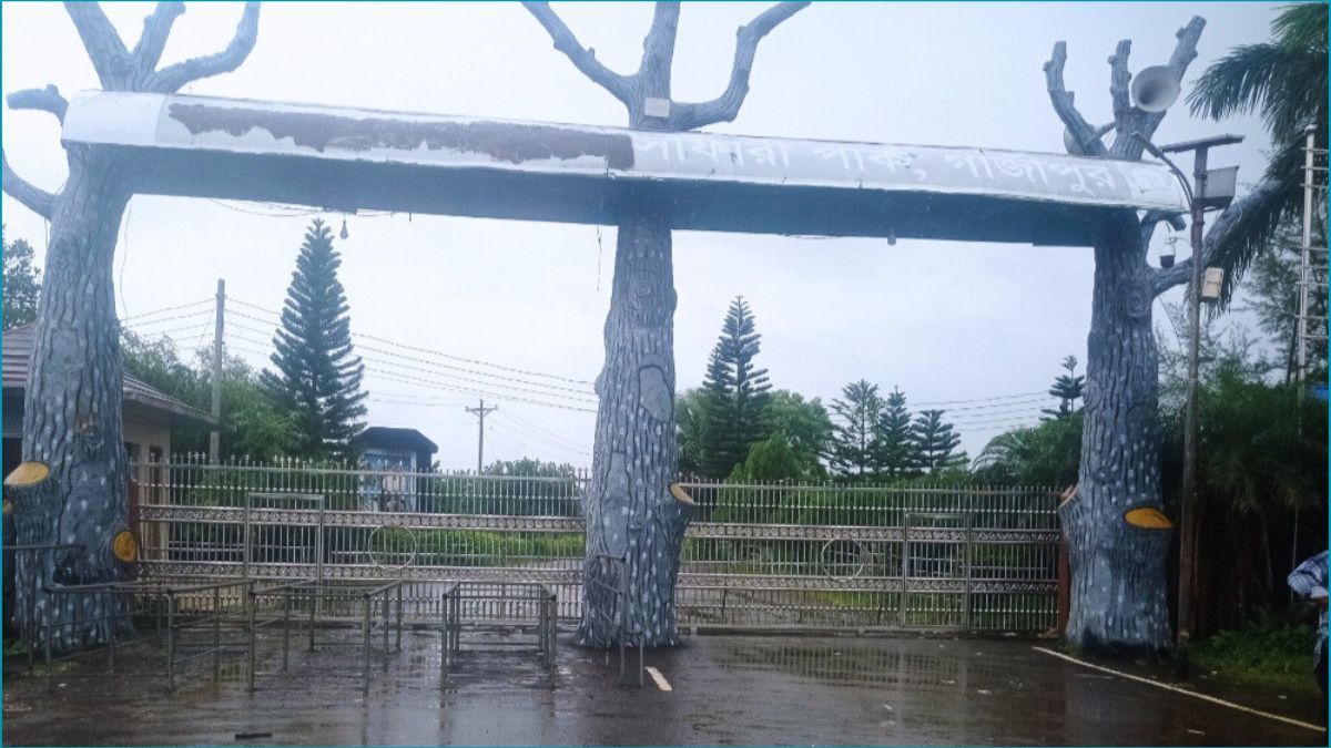 গাজীপুর সাফারি পার্কে জিরাফের মৃত্যু, জানা গেল দুদিন পর