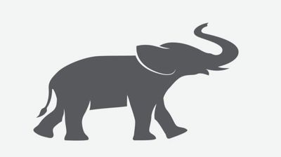 হাতি প্রতীকে ইসির নিবন্ধন পেল বাংলাদেশ রিপাবলিকান পার্টি