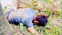 ডাব চুরি করতে গিয়ে গাছ থেকে পড়ে যুবকের মৃত্যু