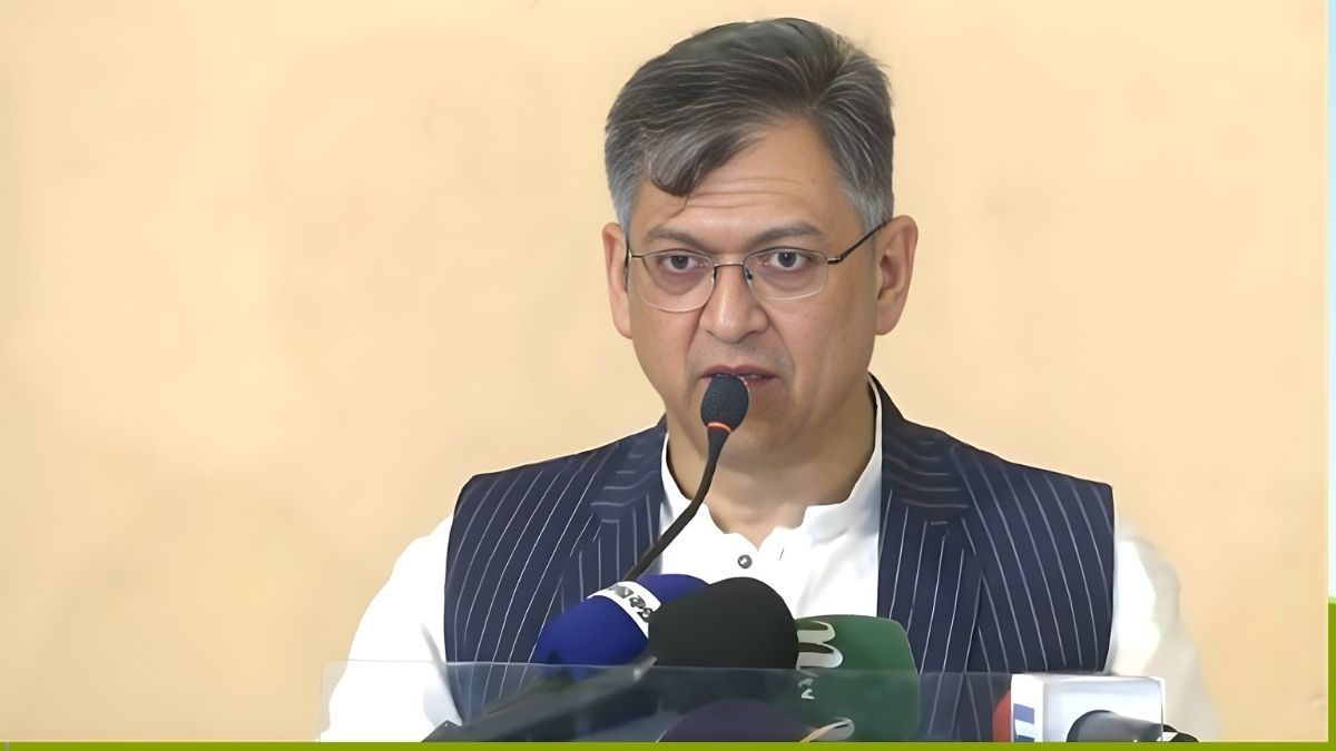 ঐকমত্য কমিশন ও সরকারের কর্মকাণ্ডে বিএনপি হতাশ : সালাহউদ্দিন