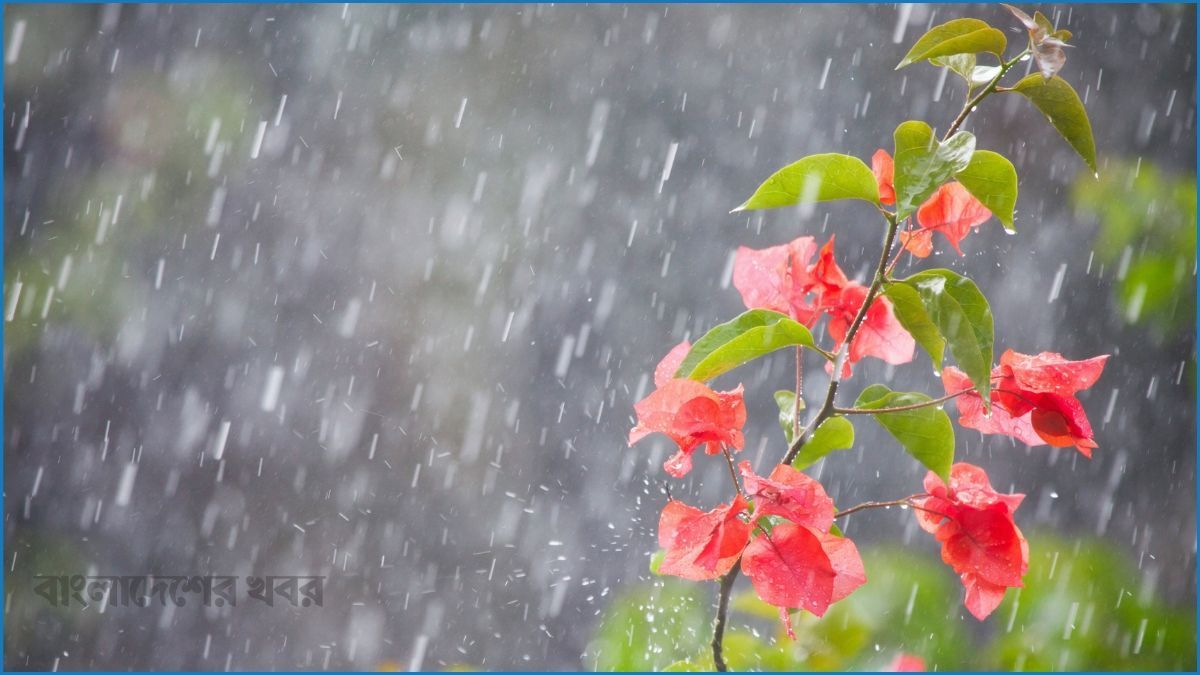 আগামী ৫ দিন বৃষ্টির পূর্বাভাস