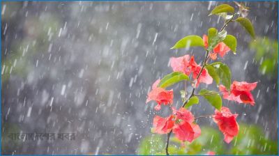 আগামী ৫ দিন বৃষ্টির পূর্বাভাস